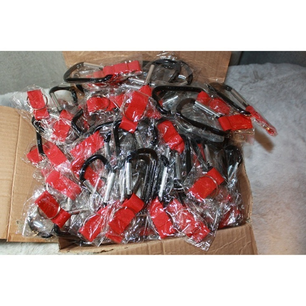 Carabiner Key Chain with Webbed Strap and Ring 125 pack